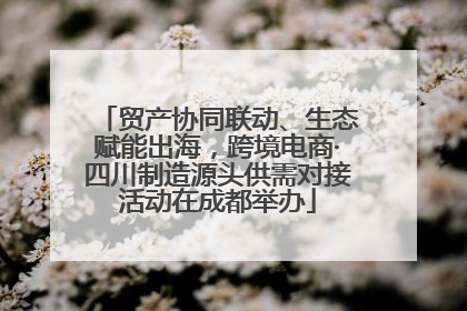 贸产协同联动、生态赋能出海，跨境电商·四川制造源头供需对接活动在成都举办