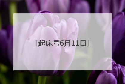 起床号6月11日