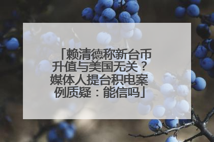 赖清德称新台币升值与美国无关？媒体人提台积电案例质疑：能信吗