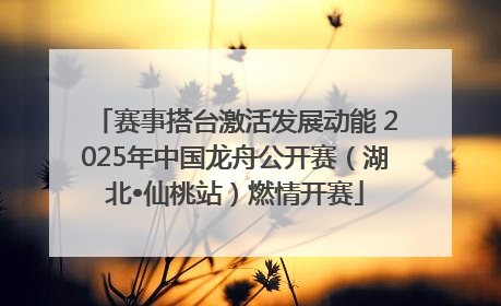 赛事搭台激活发展动能 2025年中国龙舟公开赛（湖北•仙桃站）燃情开赛