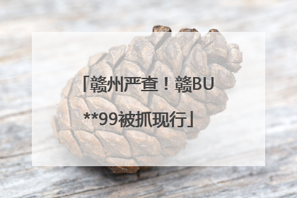 赣州严查！赣BU**99被抓现行