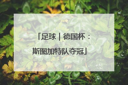 足球｜德国杯：斯图加特队夺冠
