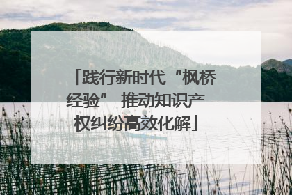 践行新时代“枫桥经验” 推动知识产权纠纷高效化解