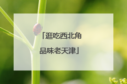逛吃西北角 品味老天津