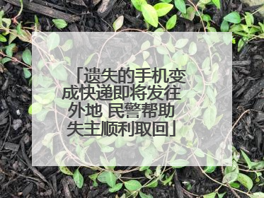遗失的手机变成快递即将发往外地 民警帮助失主顺利取回
