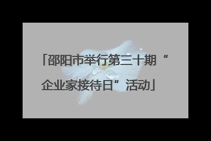 邵阳市举行第三十期“企业家接待日”活动