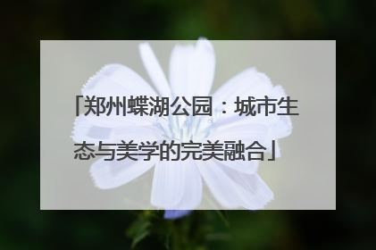 郑州蝶湖公园：城市生态与美学的完美融合