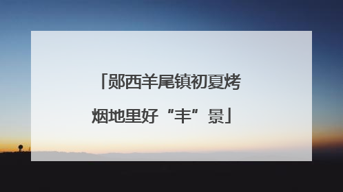 郧西羊尾镇初夏烤烟地里好“丰”景
