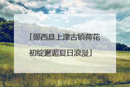 郧西县上津古镇荷花初绽邂逅夏日浪漫