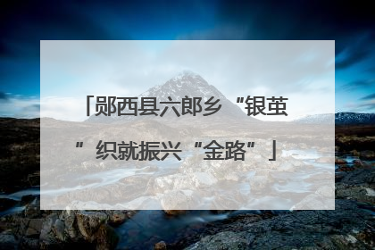 郧西县六郎乡“银茧”织就振兴“金路”