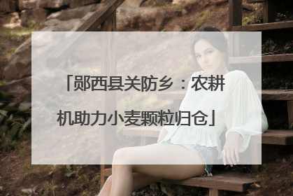 郧西县关防乡：农耕机助力小麦颗粒归仓