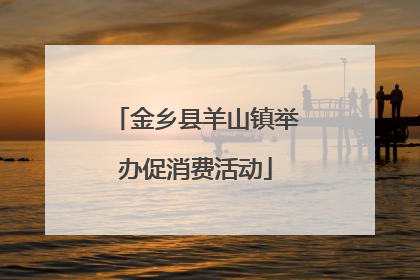 金乡县羊山镇举办促消费活动
