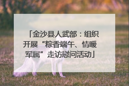 金沙县人武部：组织开展“粽香端午、情暖军属”走访慰问活动