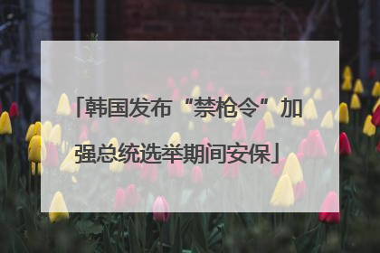 韩国发布“禁枪令”加强总统选举期间安保