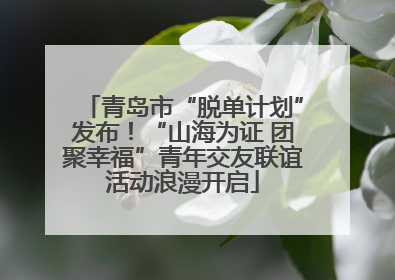 青岛市“脱单计划”发布！“山海为证 团聚幸福”青年交友联谊活动浪漫开启