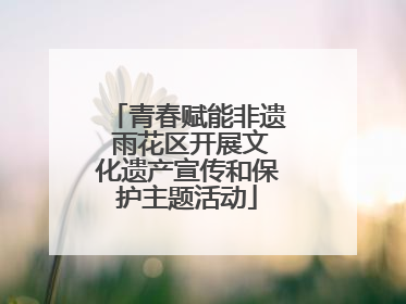 青春赋能非遗 雨花区开展文化遗产宣传和保护主题活动