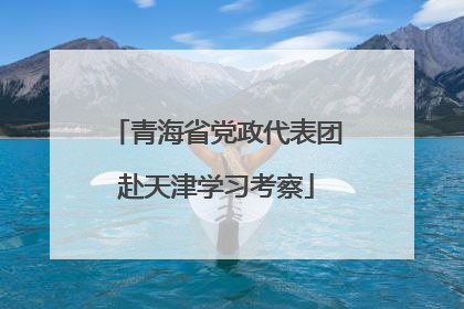 青海省党政代表团赴天津学习考察