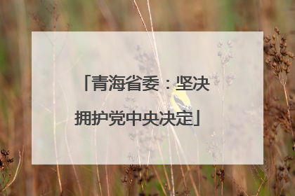 青海省委：坚决拥护党中央决定