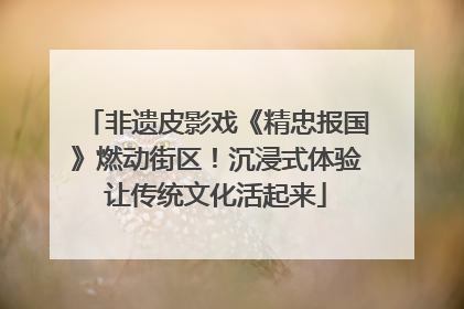 非遗皮影戏《精忠报国》燃动街区！沉浸式体验让传统文化活起来