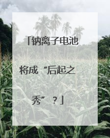 钠离子电池将成“后起之秀”？