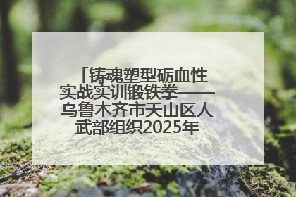 铸魂塑型砺血性 实战实训锻铁拳——乌鲁木齐市天山区人武部组织2025年度民兵集中轮训