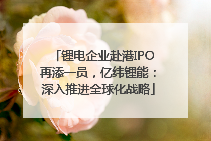 锂电企业赴港IPO再添一员，亿纬锂能：深入推进全球化战略