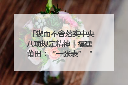 锲而不舍落实中央八项规定精神｜福建莆田：“一张表”“一张图”为基层减轻“数字负担”