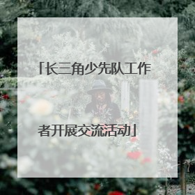 长三角少先队工作者开展交流活动