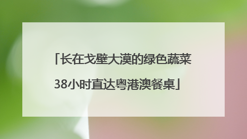 长在戈壁大漠的绿色蔬菜38小时直达粤港澳餐桌