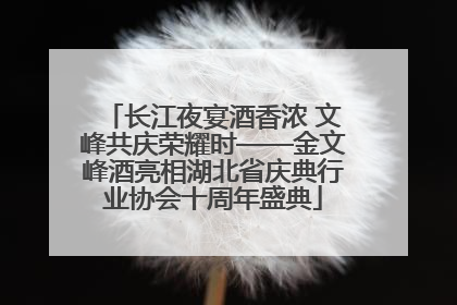 长江夜宴酒香浓 文峰共庆荣耀时——金文峰酒亮相湖北省庆典行业协会十周年盛典