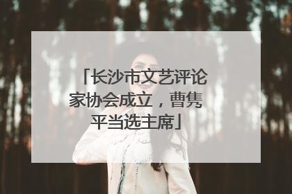 长沙市文艺评论家协会成立，曹隽平当选主席