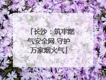 长沙：筑牢燃气安全网 守护万家烟火气