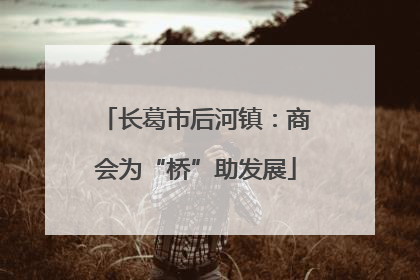 长葛市后河镇：商会为“桥”助发展