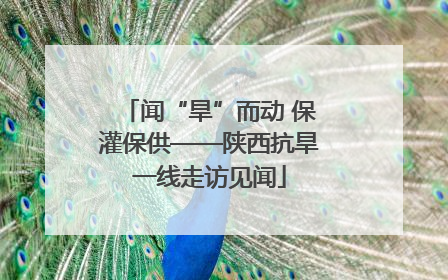 闻“旱”而动 保灌保供——陕西抗旱一线走访见闻