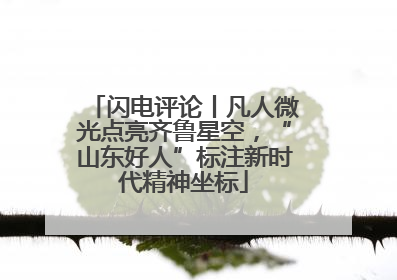 闪电评论丨凡人微光点亮齐鲁星空，“山东好人”标注新时代精神坐标