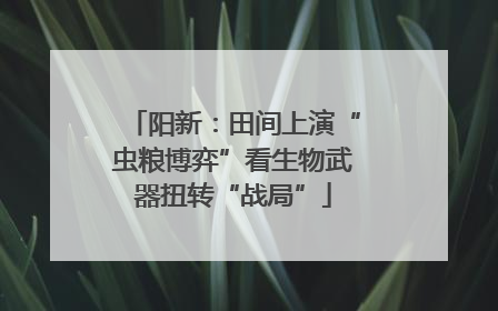 阳新：田间上演“虫粮博弈”看生物武器扭转“战局”