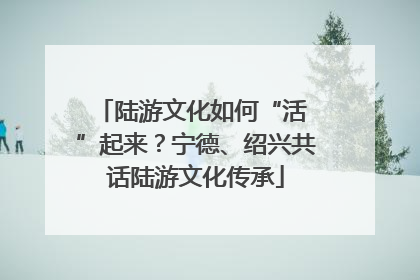 陆游文化如何“活 ”起来？宁德、绍兴共话陆游文化传承