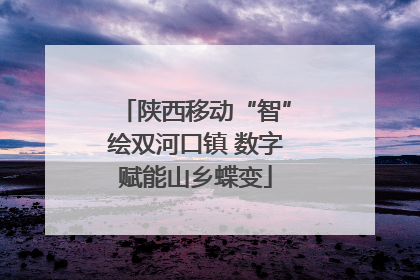 陕西移动“智”绘双河口镇 数字赋能山乡蝶变