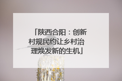 陕西合阳：创新村规民约让乡村治理焕发新的生机