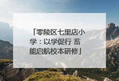 零陵区七里店小学：以学促行 蓄能启航校本研修