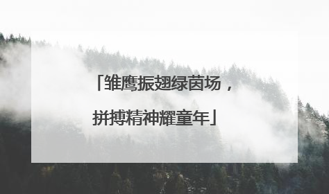 雏鹰振翅绿茵场，拼搏精神耀童年