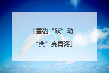 雪豹“跃”动 “典”亮青海