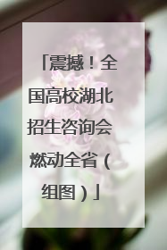 震撼！全国高校湖北招生咨询会燃动全省（组图）