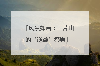 风景如画：一片山的“逆袭”答卷