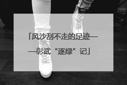 风沙刮不走的足迹——彰武“逐绿”记