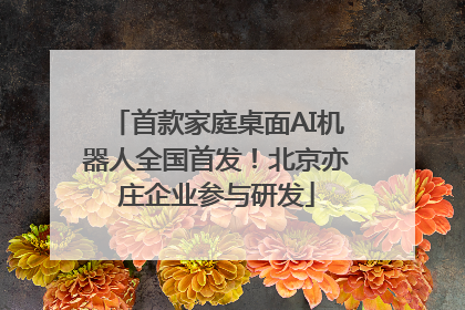首款家庭桌面AI机器人全国首发！北京亦庄企业参与研发