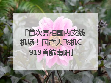 首次亮相国内支线机场！国产大飞机C919首航南阳