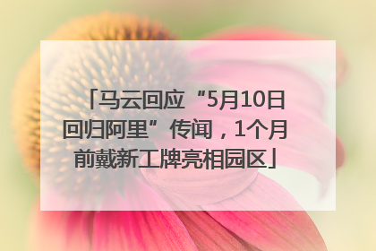 马云回应“5月10日回归阿里”传闻，1个月前戴新工牌亮相园区