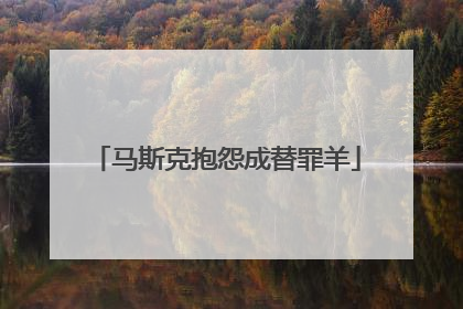 马斯克抱怨成替罪羊