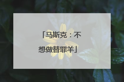 马斯克：不想做替罪羊